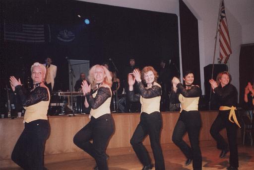 2004_01_Auftritt LD-Ball Purkersdorf.jpg